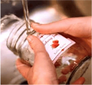Labels: Waterproof - Roll Type
