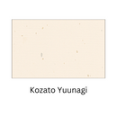 Washi Special Paper Business Card | For Branding | Goshiki Printing