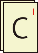 Document Printing (Printing + Shipping included)