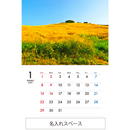 12-month calendar with photos