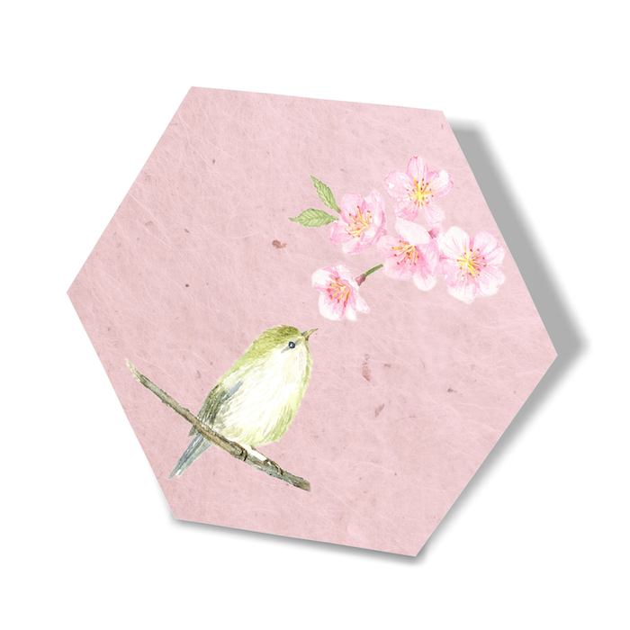 Washi Coasters 5 x 5" | Made of Special craft paper | Goshiki Printing