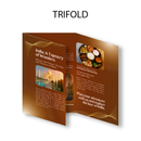 Brochure Flat size 11 x 25.5 inch