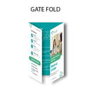 Brochure Flat size 8.5 x 11 inch