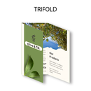 Brochure Flat size 8.5 x 14 inch