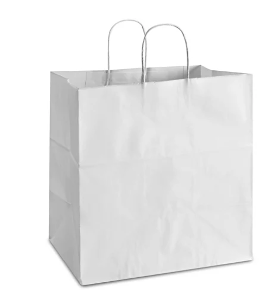 Custom Paper Bags - type I | fully customized | Goshiki Printing