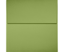 Square Envelopes - 4 x 4" | Business Mails | Goshiki Printing