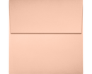 Square Envelopes - 4 x 4" | Business Mails | Goshiki Printing
