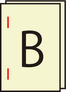 Document Printing (Printing + Shipping included)