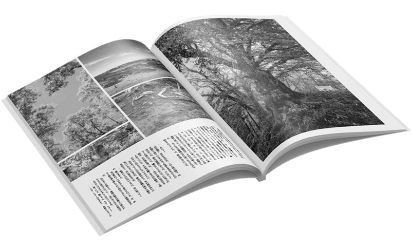 Sample image for Booklets (Perfect binding) Black and White Print | Goshiki Printing